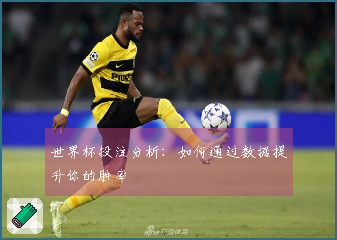 世界杯投注分析：如何通过数据提升你的胜率