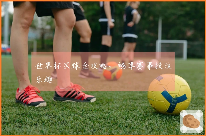世界杯买球全攻略，畅享赛事投注乐趣