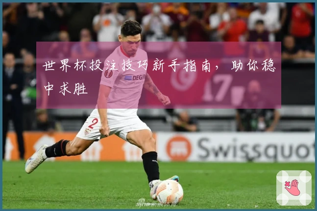 世界杯投注技巧新手指南，助你稳中求胜