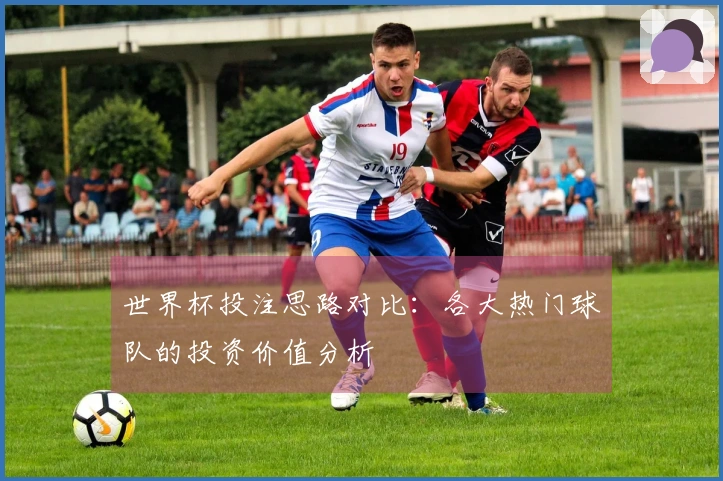 世界杯投注思路对比：各大热门球队的投资价值分析