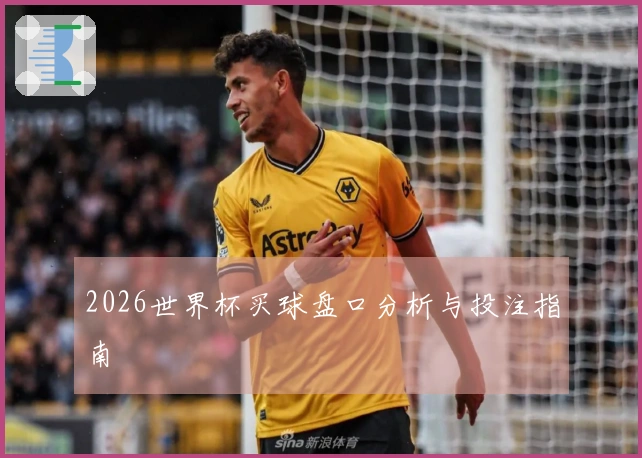 2026世界杯买球盘口分析与投注指南