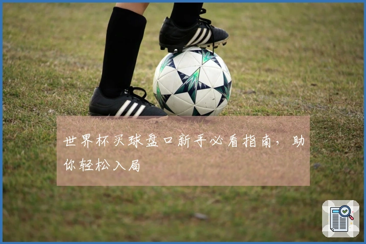 世界杯买球盘口新手必看指南，助你轻松入局