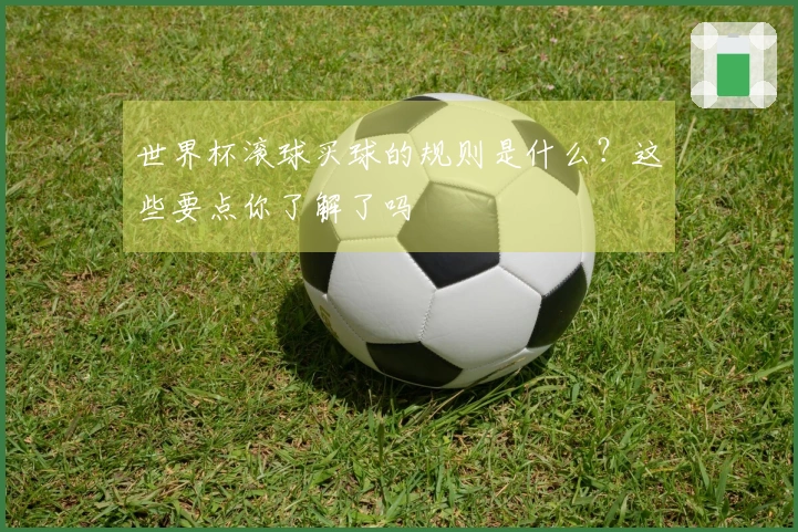 世界杯滚球买球的规则是什么？这些要点你了解了吗