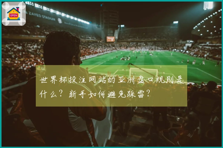 世界杯投注网站的亚洲盘口规则是什么？新手如何避免踩雷？