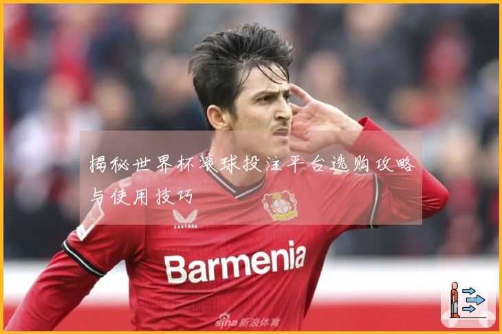 揭秘世界杯滚球投注平台选购攻略与使用技巧