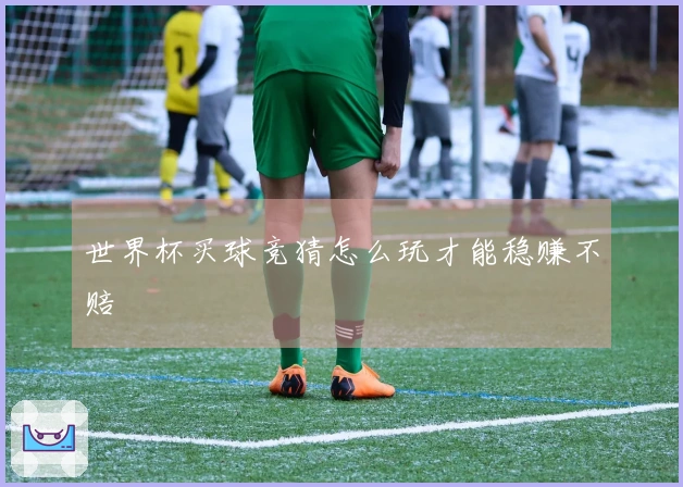 世界杯买球竞猜怎么玩才能稳赚不赔