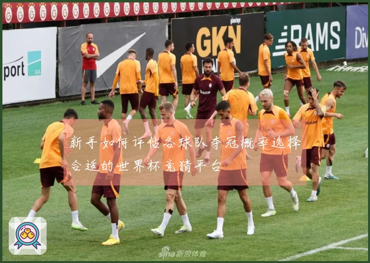 新手如何评估各球队夺冠概率选择合适的世界杯竞猜平台