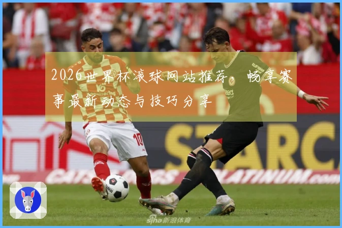2026世界杯滚球网站推荐,畅享赛事最新动态与技巧分享