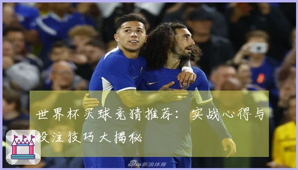 世界杯买球竞猜推荐：实战心得与投注技巧大揭秘