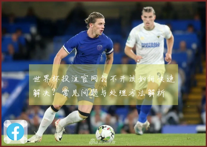 世界杯投注官网打不开该如何快速解决？常见问题与处理方法解析