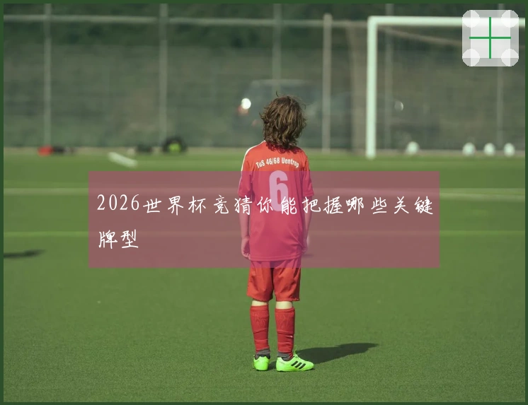 2026世界杯竞猜你能把握哪些关键牌型