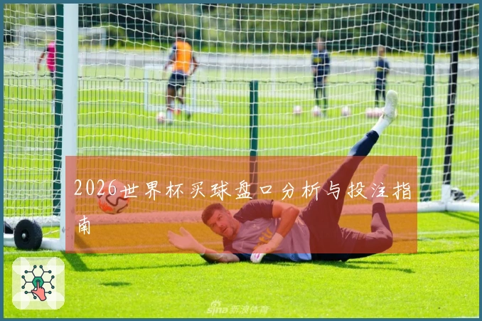 2026世界杯买球盘口分析与投注指南