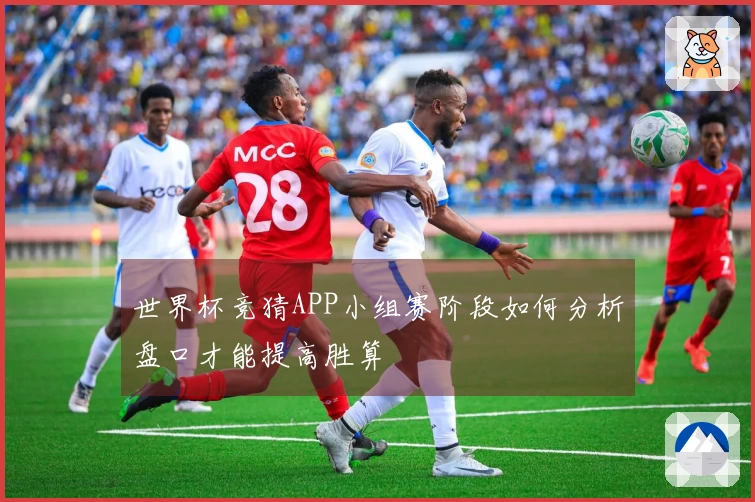 世界杯竞猜APP小组赛阶段如何分析盘口才能提高胜算