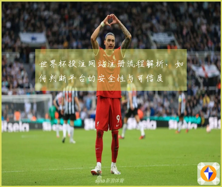 世界杯投注网站注册流程解析，如何判断平台的安全性与可信度