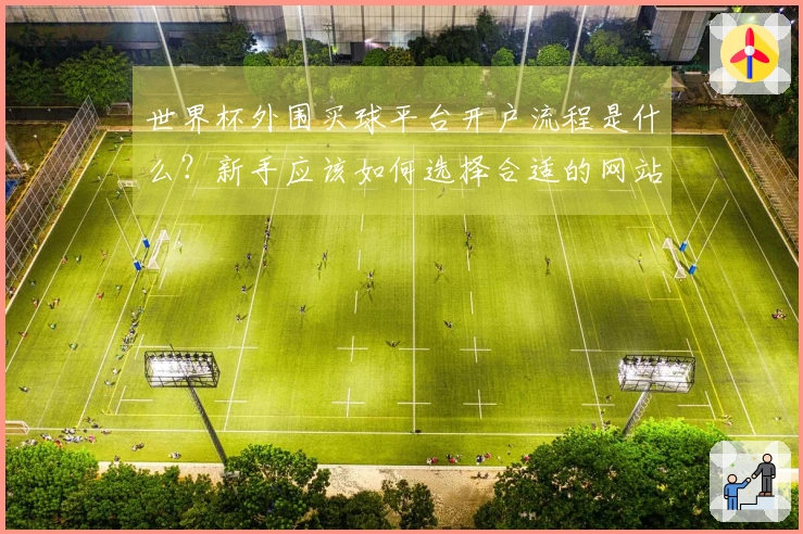 世界杯外围买球平台开户流程是什么？新手应该如何选择合适的网站？