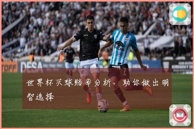 世界杯买球赔率分析，助你做出明智选择