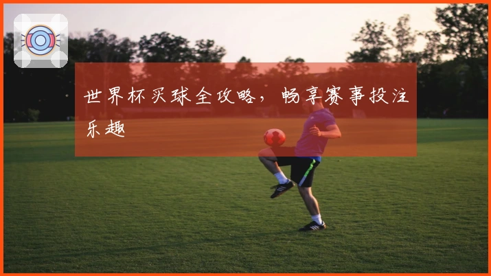 世界杯买球全攻略，畅享赛事投注乐趣