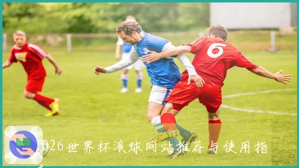 2026世界杯滚球网站推荐与使用指南