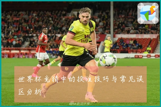 世界杯竞猜中的投注技巧与常见误区分析