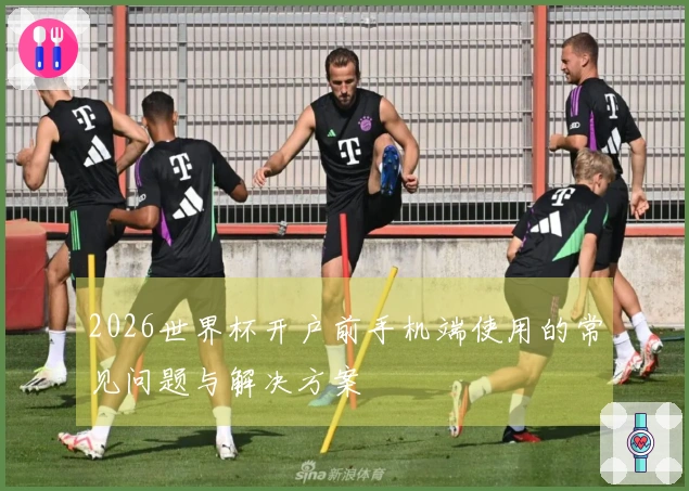 2026世界杯开户前手机端使用的常见问题与解决方案