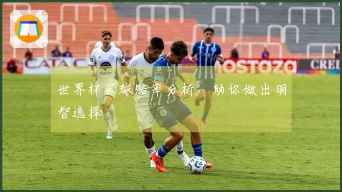 世界杯买球赔率分析，助你做出明智选择