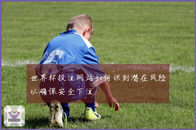 世界杯投注网站如何识别潜在风险以确保安全下注