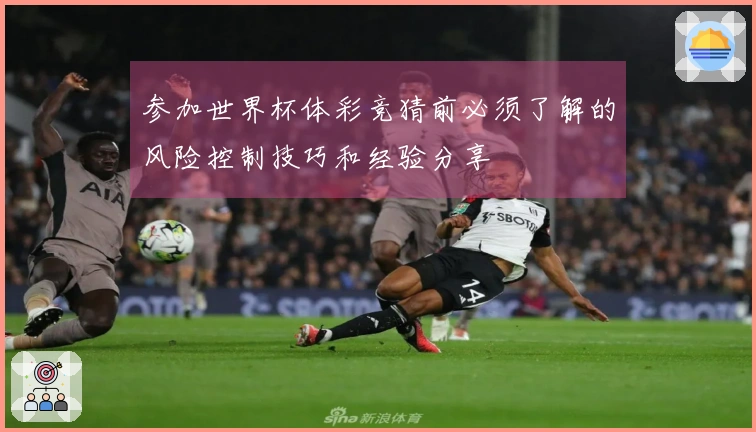参加世界杯体彩竞猜前必须了解的风险控制技巧和经验分享