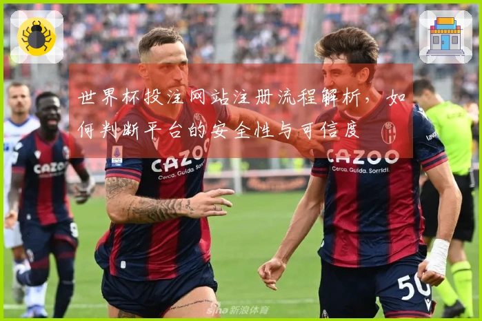 世界杯投注网站注册流程解析，如何判断平台的安全性与可信度